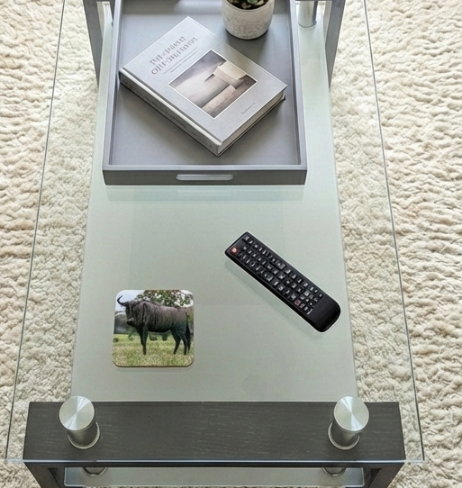 Overhead view of a glass coffee table with a gnu coaster, black remote, and grey tray with a book and succulent.