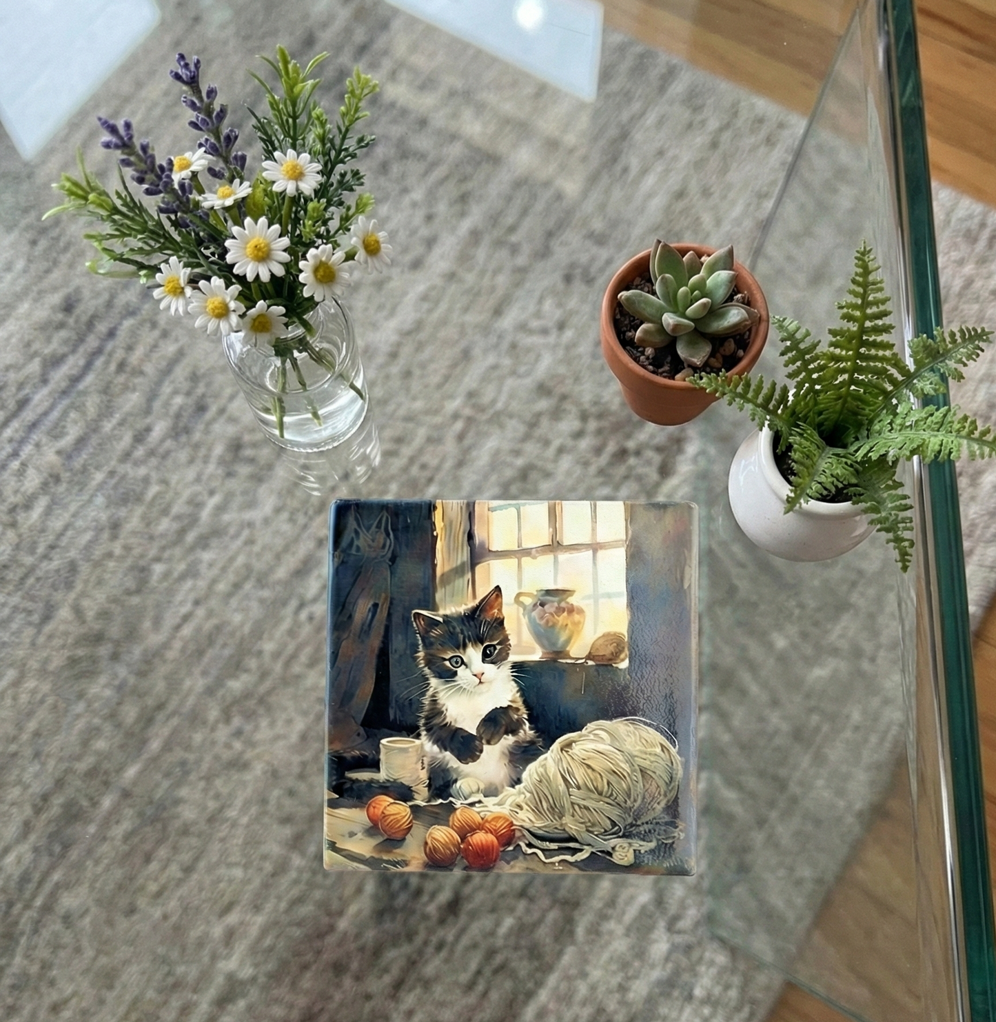 Black and white kitten coaster on a glass table with a succulent in a terracotta pot and a small green fern.