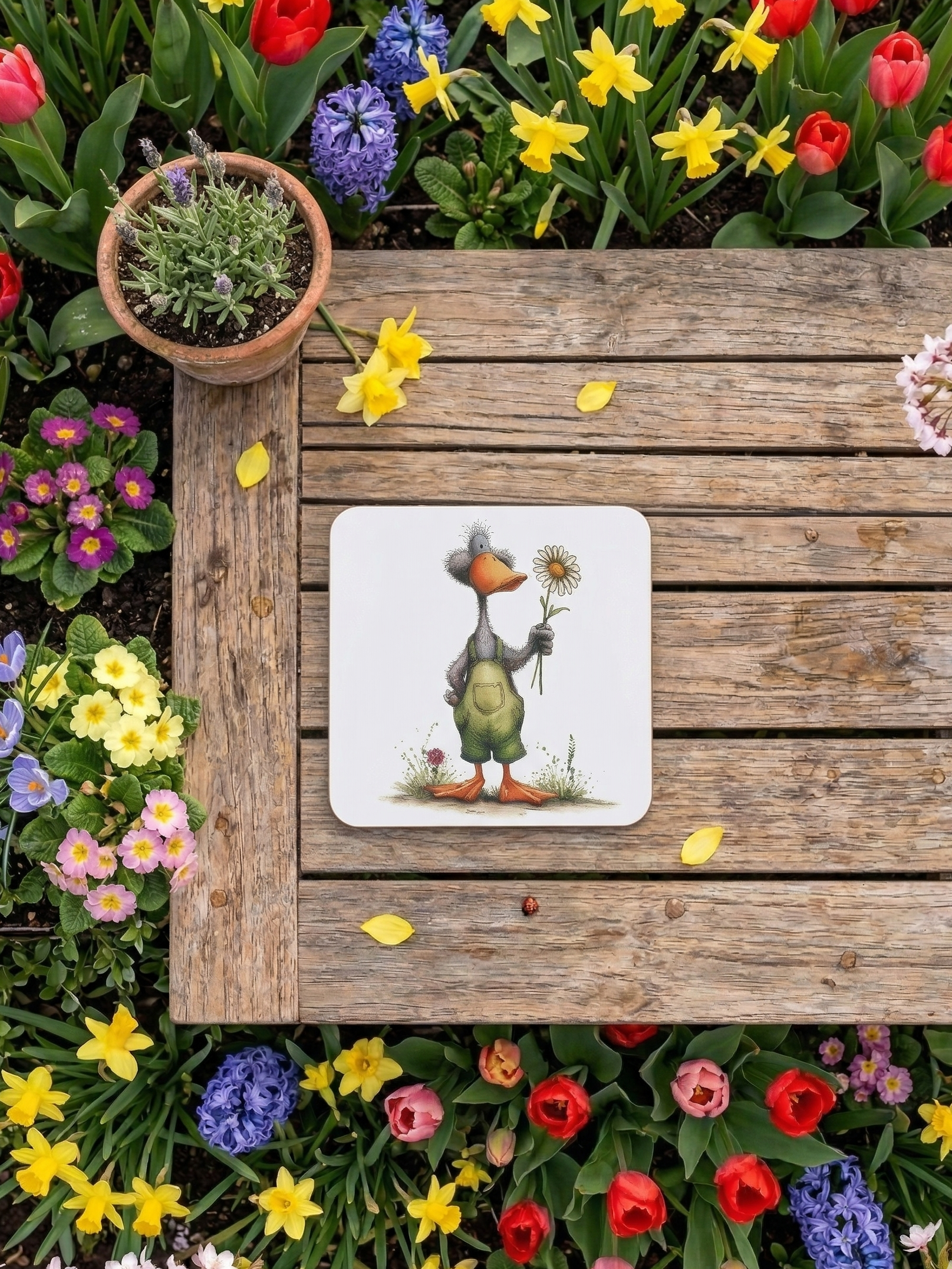 A square duck coaster in green dungarees on a wooden bench, framed by red tulips and yellow daffodils.