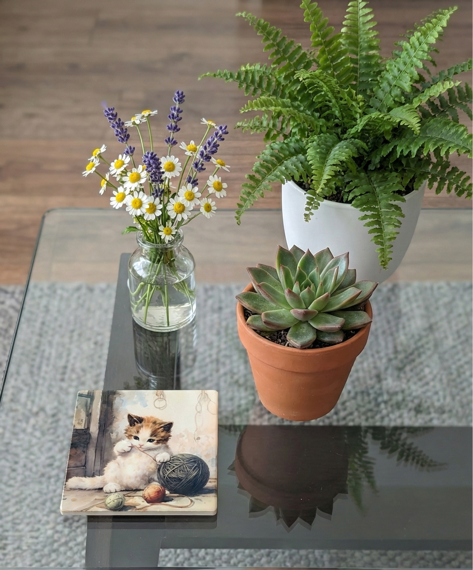 Tabby and white kitten coaster with a ball of wool, a terracotta pot succulent, and a white potted fern.