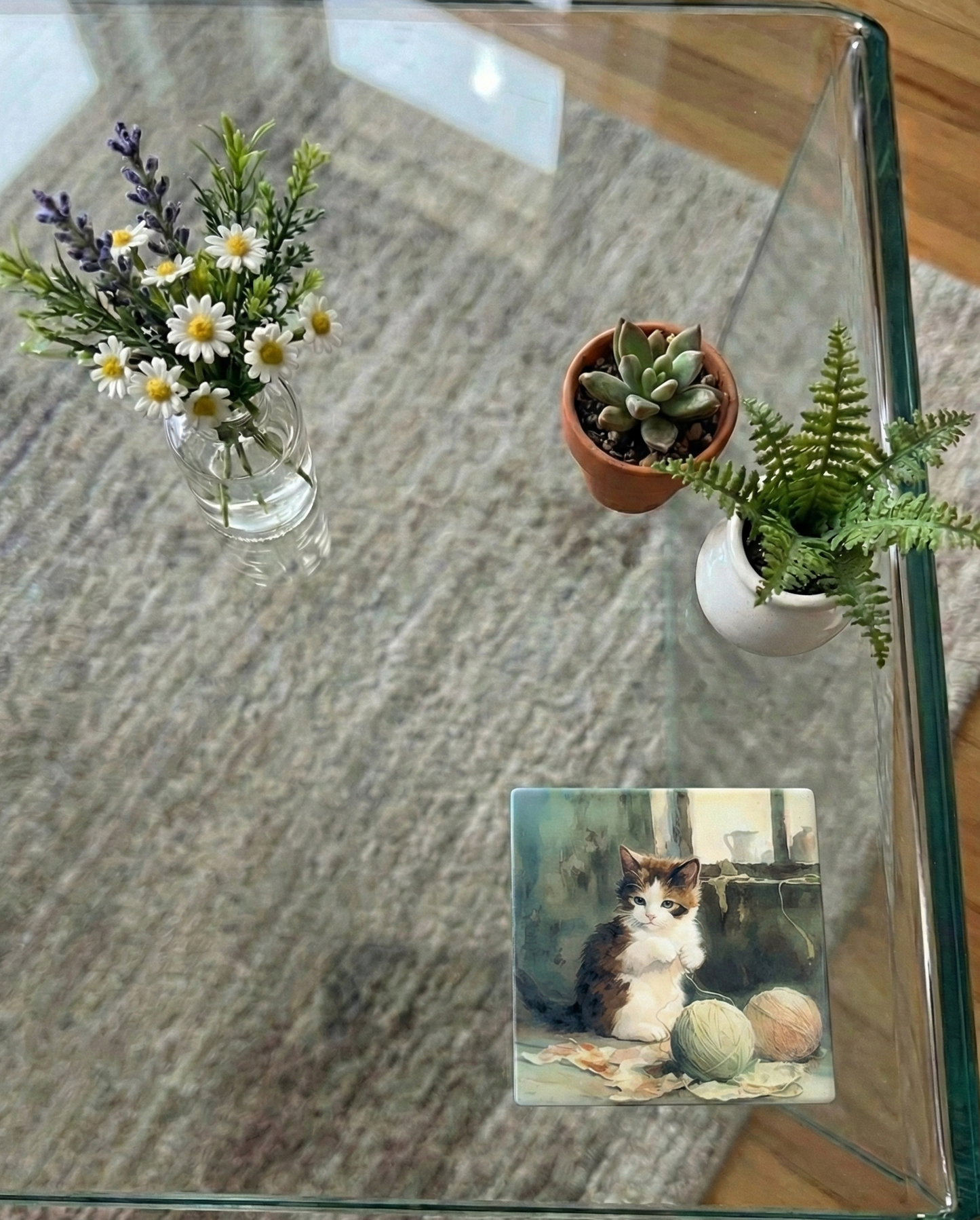 Tricolour kitten coaster on a glass table with purple lavender, white daisies, and small potted green plants.